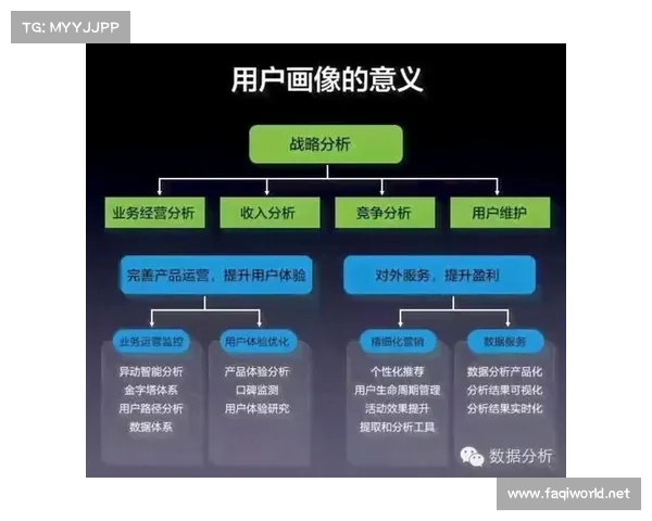 冰结师职业成长的五大关键点全面解析与提升策略
